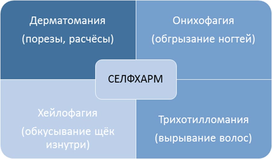 Виды селфхрама